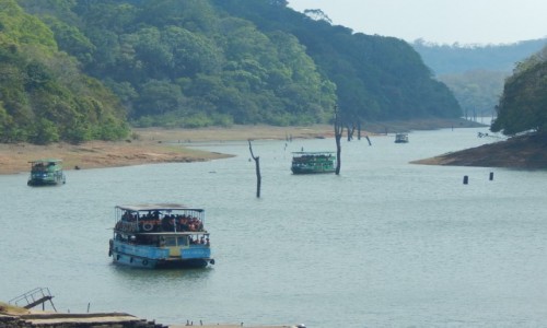 Zdjecie INDIE / Kerala / Thekkady / Indie Poudniowe