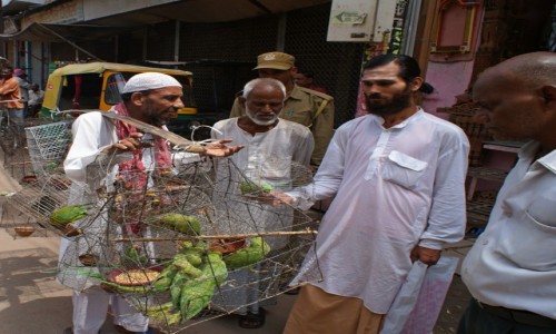 Zdjecie INDIE / Varanasi / Varanasi / sprzedawca papug