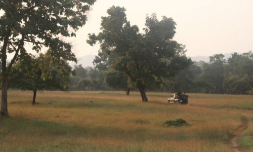 Zdjcie INDIE / Madhya Pradesh / Satpura / jeep w oddali 