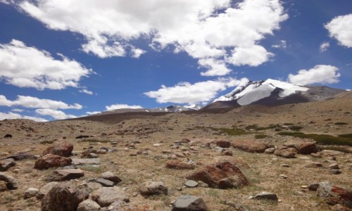Zdjęcie INDIE / Ladakh / Nimaling / Himalaje