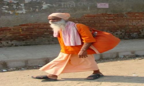 Zdjecie INDIE / brak / Delhi / wedrowiec