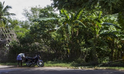 Zdjęcie INDIE / Tamil Nadu / - / mycie motocykla :)