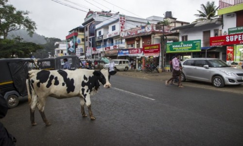 Zdjęcie INDIE / Kerala / - / typowa indyjska ulica ;)