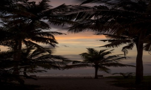 Zdjęcie INDIE / Kerala / plaża Mararikulam / plaża Mararikulam