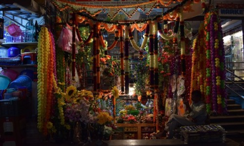 INDIE / Karnataka / Mysore / Mysore 5