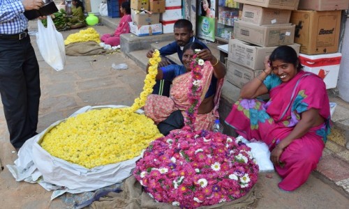 INDIE / Karnataka / Mysore / Mysore 8