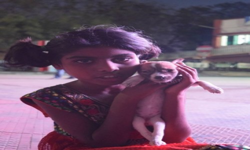 INDIE / Tamilnadu / Madurai / dziewczynka z psem