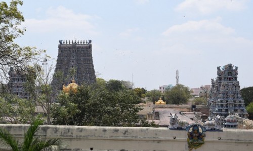 INDIE / Tamilnadu / Madurai / witynia Minakszi w Maduraju 2