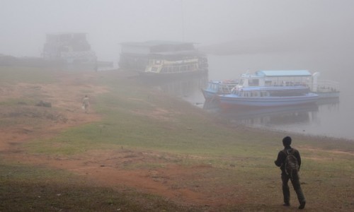 Zdjcie INDIE / Kerala / Periyar National Park / Periyar National Park 1