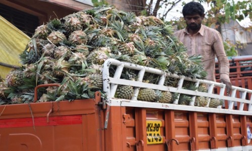 Zdjecie INDIE / Karnataka / Bangalore / Bangalore Fruit Market 5