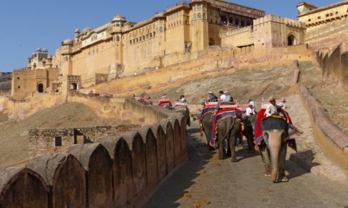 Zdjecie INDIE / Radastan / Amber / Fort  Amber 