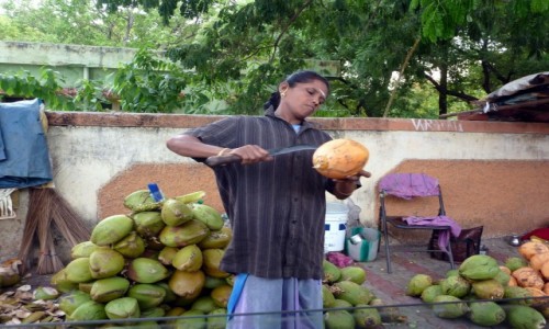 Zdjecie INDIE / Tamil Nadu / Madurai / kobieta sprzedajca kokosy