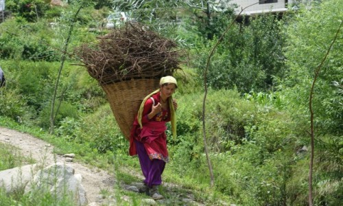 Zdjecie INDIE / Manali / Manali / Transport