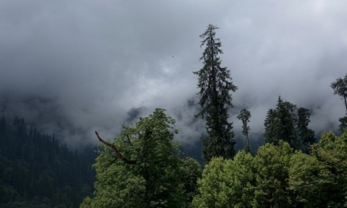 Zdjęcie INDIE / Manali / Manali / Pora deszczowa