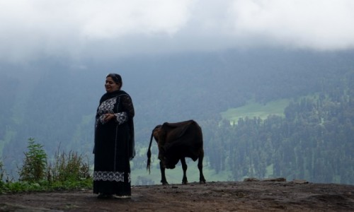 Zdjęcie INDIE / Manali / Manali / Spacer