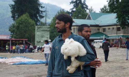 Zdjecie INDIE / Manali / Manali / krlik  