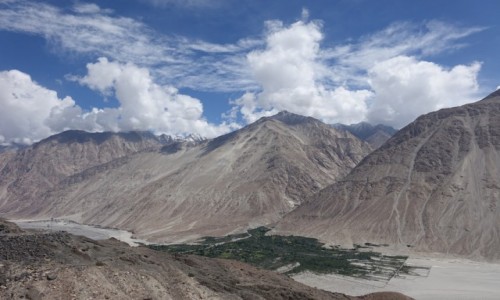 Zdjęcie INDIE / Dolina Nubry   / Dolina Nubry   / Dolina