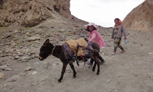 Zdjecie INDIE / Ladakh /    / Himalaje