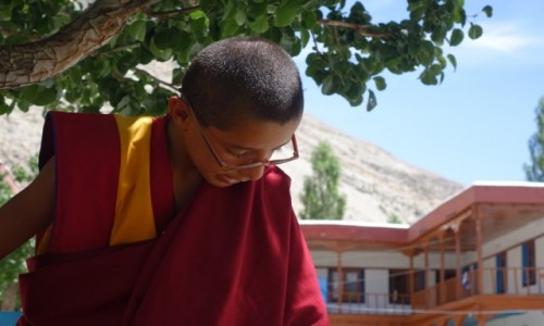 Zdjęcie INDIE / Dolina   Nubry / Dolina   Nubry / Mnich