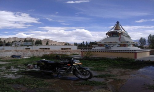 Zdjecie INDIE / Dammu i Kaszmir / Ladakh / Leh