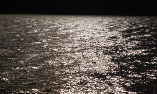 Zdjęcie INDIE / Pogano / Pogano / Pogano