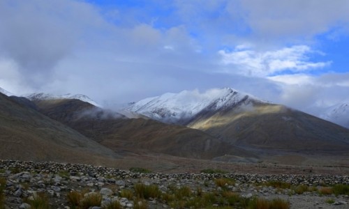 Zdjęcie INDIE / Pongano  / Pongano  / Pongano