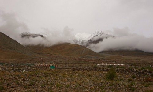 Zdjęcie INDIE / Pongano  / Pongano  / Pongano