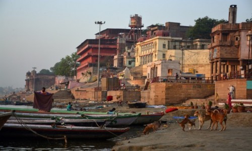 Zdjecie INDIE / - / Varanasi / Varanasi