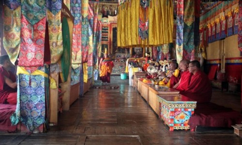 Zdjecie INDIE / Ladakh / Diskit w dolinie Nubry / W wityni