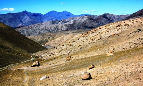 Zdjecie INDIE / Ladakh / Okolice Likir / Na szlaku