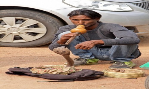 Zdjecie INDIE / - / Delhi / Twarze Indii 10