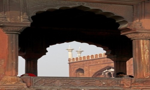 Zdjcie INDIE / Haryana / Delhi / Delhi 13