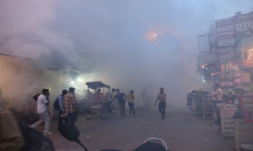 Zdjecie INDIE / New  Delhi / New  Delhi / Odkomarzanie 