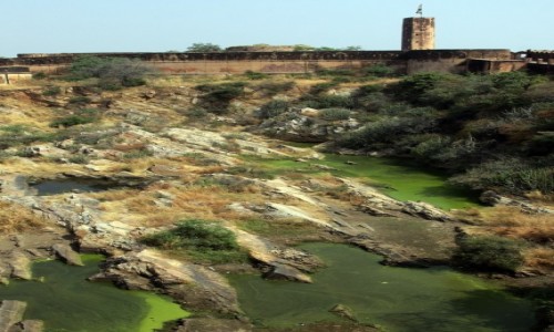 Zdjecie INDIE / Radzasthan / Jaipur / Jaipur 16