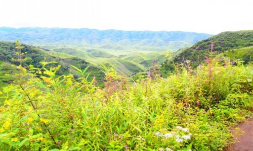 Zdjecie INDIE / Nagaland / Dzukou Valley / Dolina Dzukou