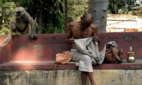 Zdjcie INDIE / brak / Rishikesh / Rishikesh