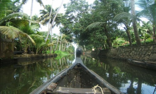 INDIE / Kerala / Alleppey / Backwaters w Alleppey