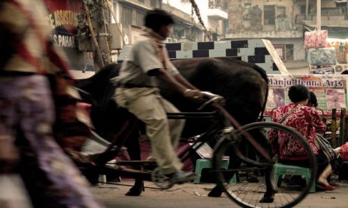 Zdjecie INDIE / brak / Delhi / ulice Delhi