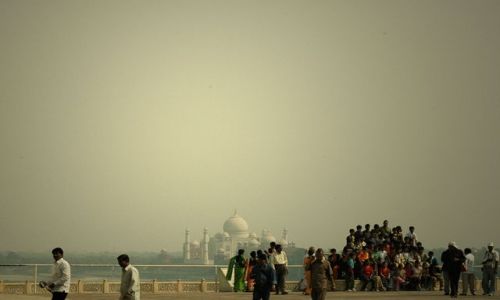 Zdjecie INDIE / brak / Taj Mahal / Taj Mahal