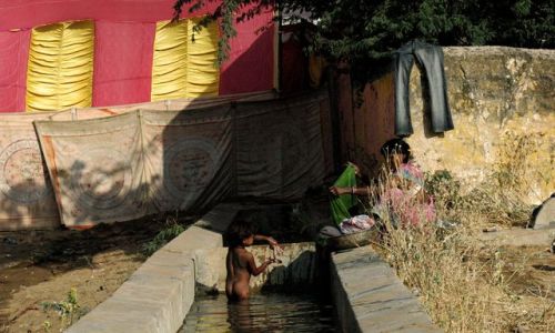 Zdjecie INDIE / brak / Rajastan / Rajastan