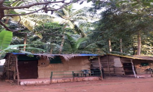 Zdjęcie INDIE / Goa / Arambol / All inclusive