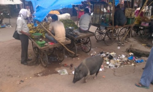 Zdjecie INDIE / Uttar Prade / Fatehpur Sikri / Uliczny targ w Fathepur Sikri