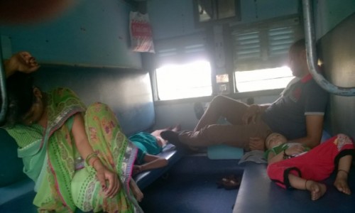 Zdjęcie INDIE / Madhya Pradeś / W drodze do Khajuraho / Towarzysze podróży