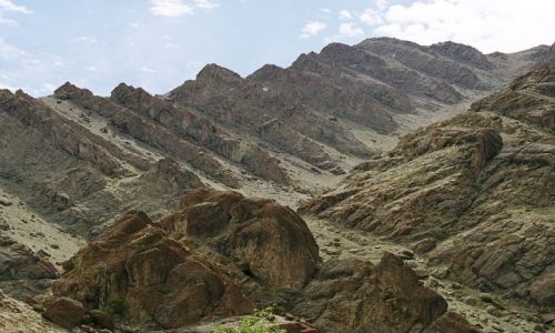 Zdjecie INDIE / Ladakh- J&K-Indie Pnocne / Hemis- Ladakh / formy Hemis