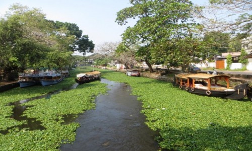 Zdjęcie INDIE / Kerala / Allapuzha / Keralskie rozlewiska