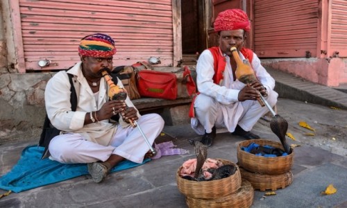 Zdjecie INDIE / Radastan / Dajpur / Dajpur