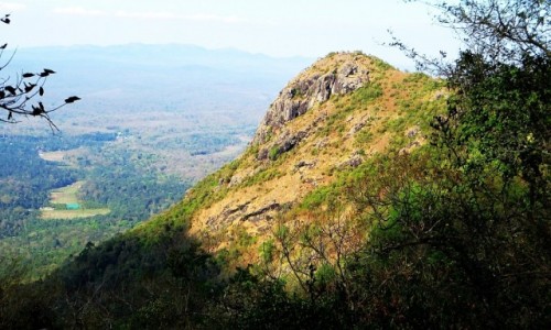Zdjcie INDIE / Karnataka / P.N. Bandipur / widoczek