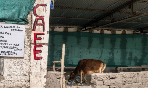 Zdjecie INDIE / Ladakh / Stok / chcielimy wpa na kaw :)