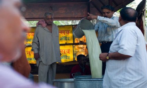 Zdjecie INDIE / Delhi / witynia Shivy przy Old Delhi / bhang czyli inaczej special lassi