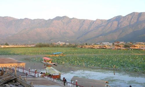 Zdjecie INDIE / Kashmir / Dal lake / Dal lake